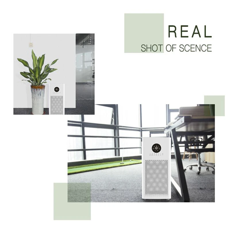 product-800-800 QQ20210924100409