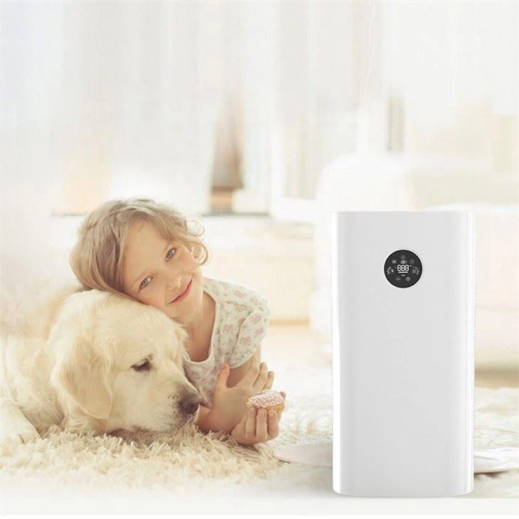 BKJ-90B Anion Release Household Air Purifier