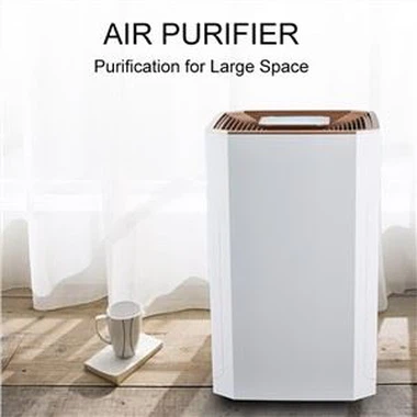 BKJ-80B Tijorat maktabi mehmonxonasi havo tozalagichdan foydalanadi