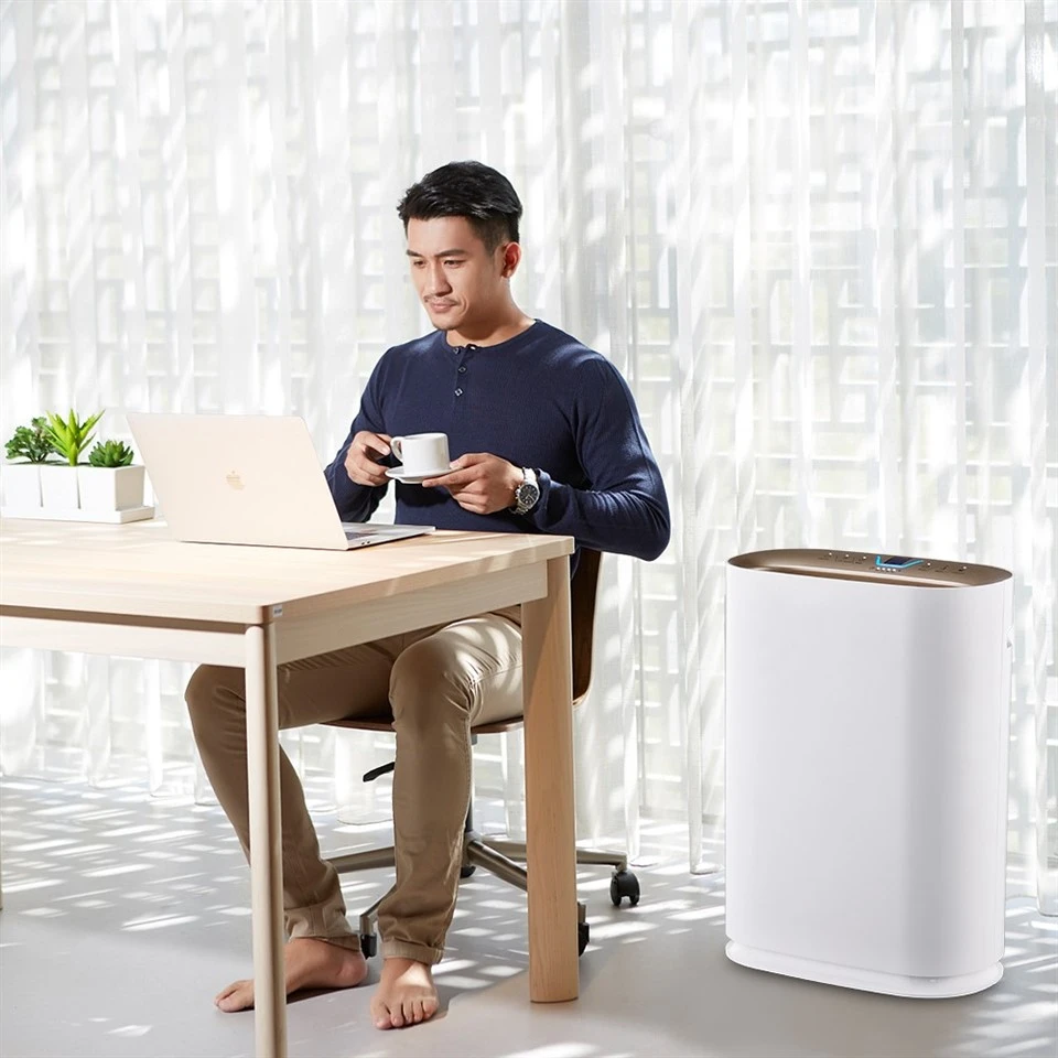BKJ-300 Room Air Fresh Air Purifier