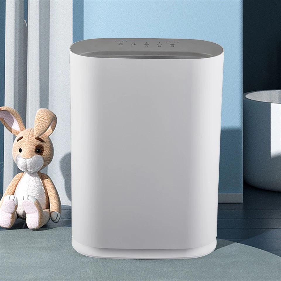 BKJ-300H Touch Panel Air Purifier With Anion factory